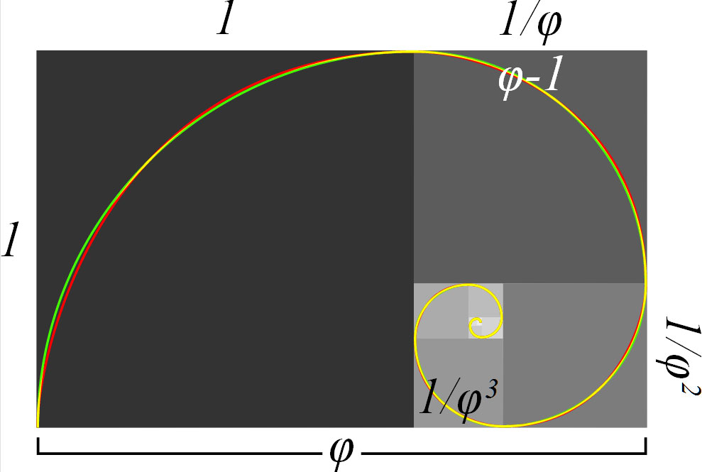 golden spiral in gray box