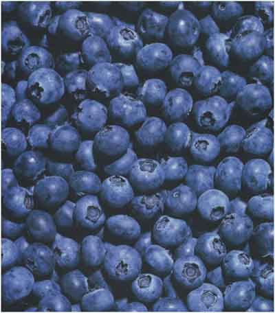 blueberries