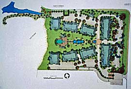 Salt marsh community
